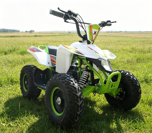 Beast 800w electric mini - 800w,