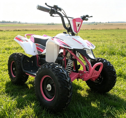 Beast 800w electric mini - x,